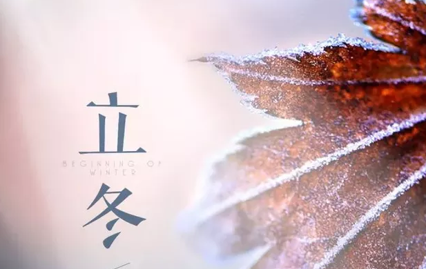 立冬已至，夏秋已逝